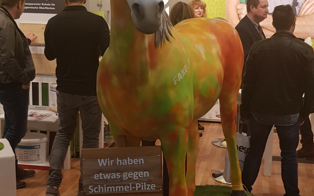 Schimmelpilz? Nein, danke!